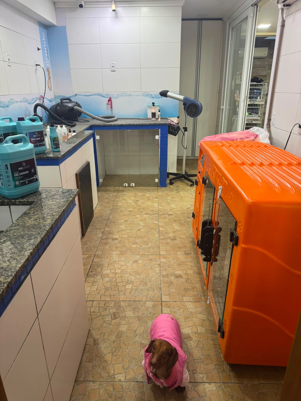 Sala de banho e tosa