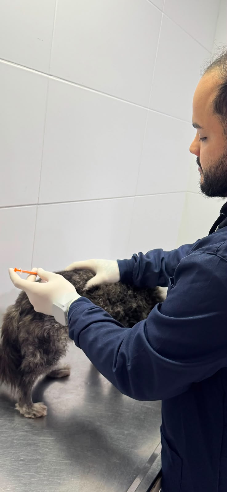 Atendimento veterinário na clínica do Pé Grande