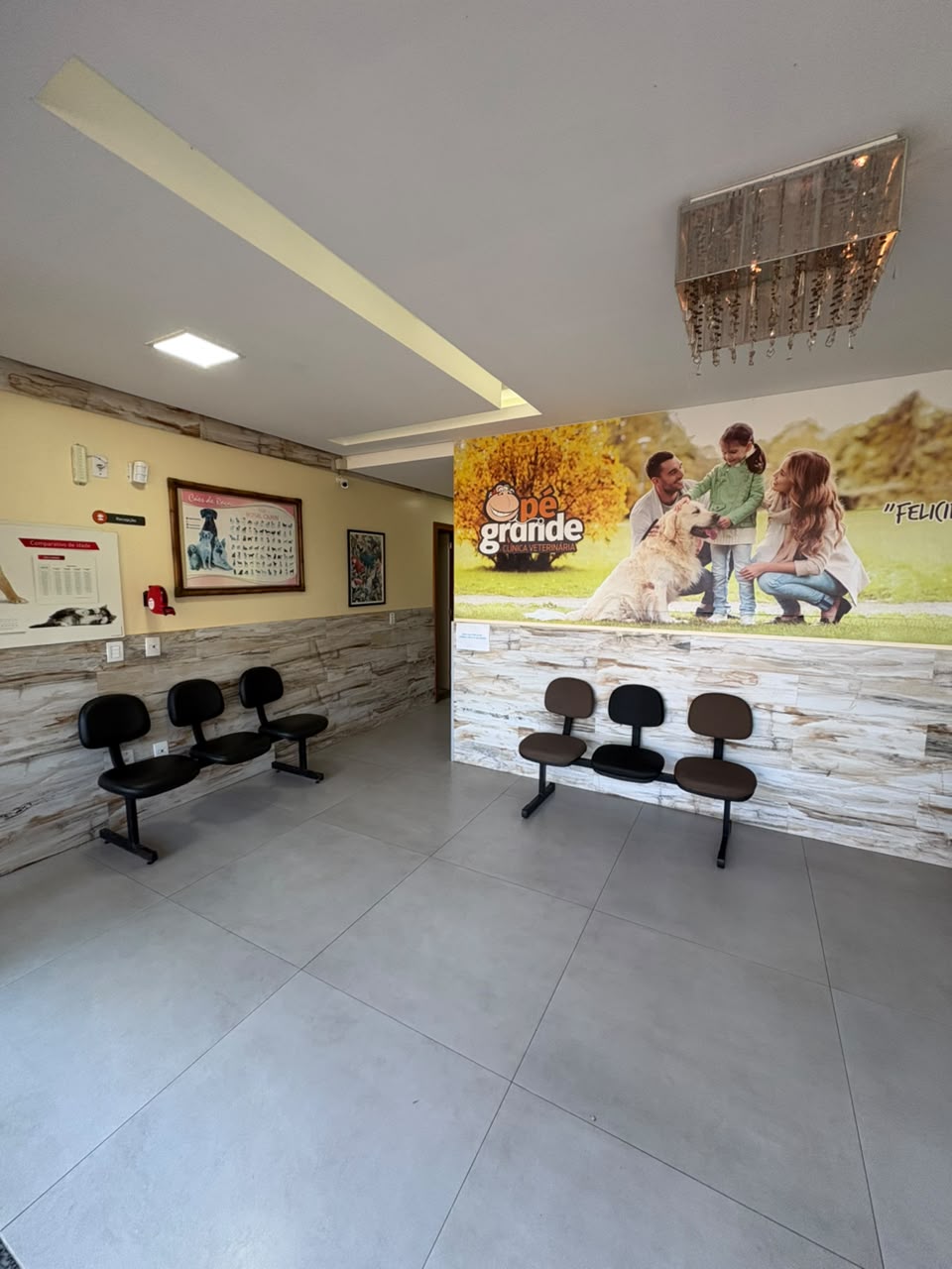 Recepção da clínica veterinária