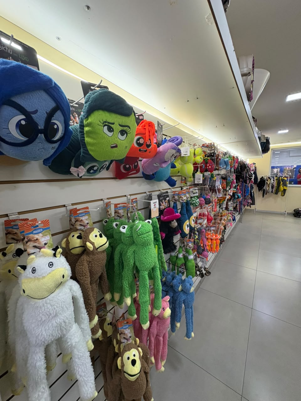 Corredor com brinquedos pet